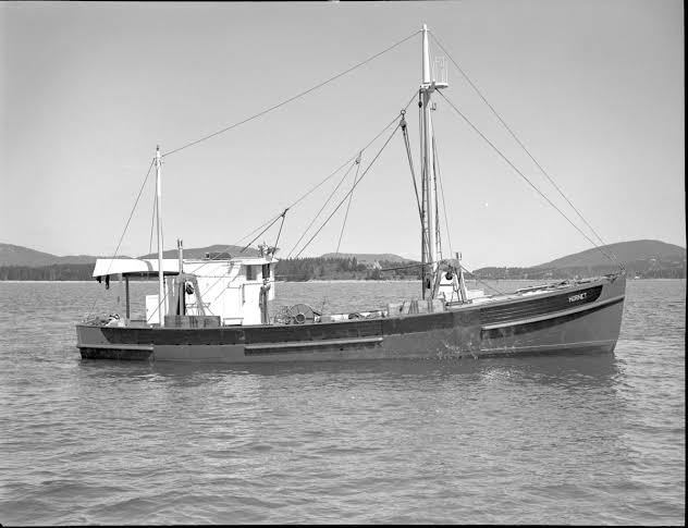 Sardine Carrier For Sale