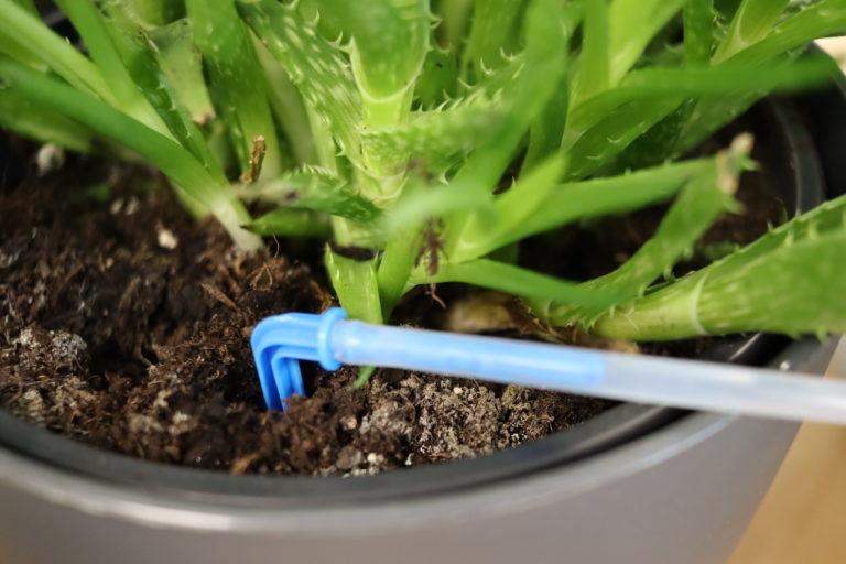 simple watering system for plants