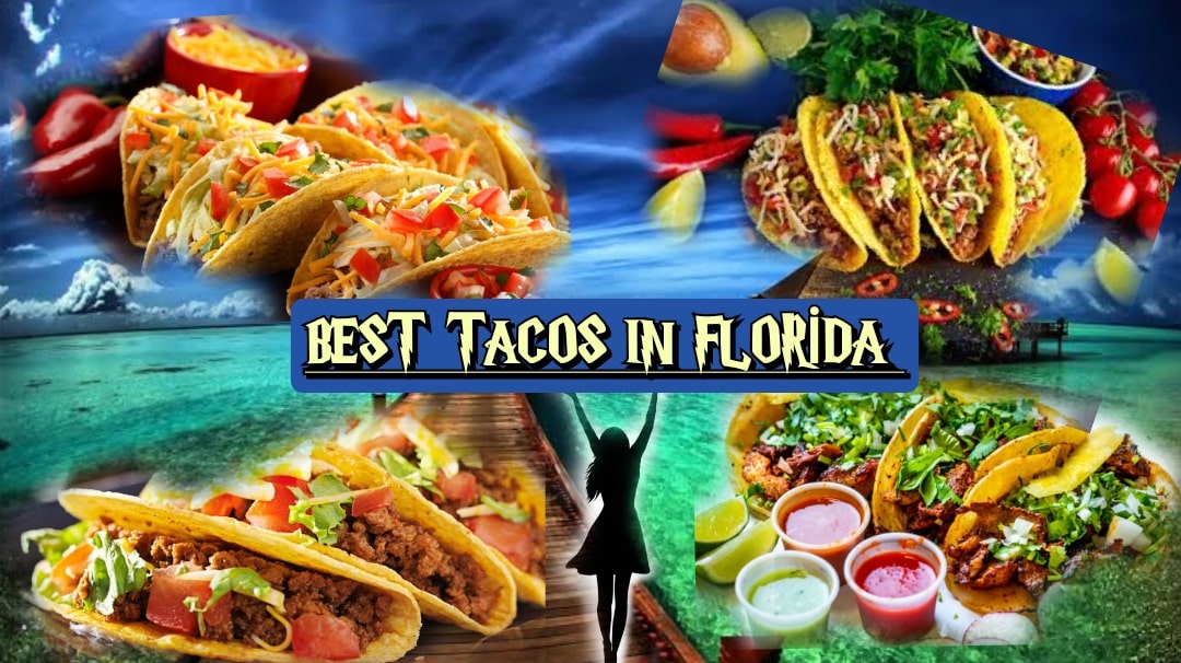 best fish tacos in florida
